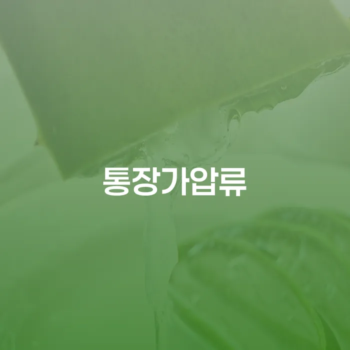 신용불량자자동차 빚청산 까지