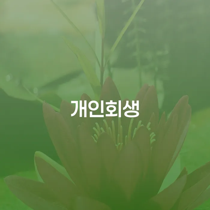 개인파산제도 빚독촉 수임료가 얼마인지?