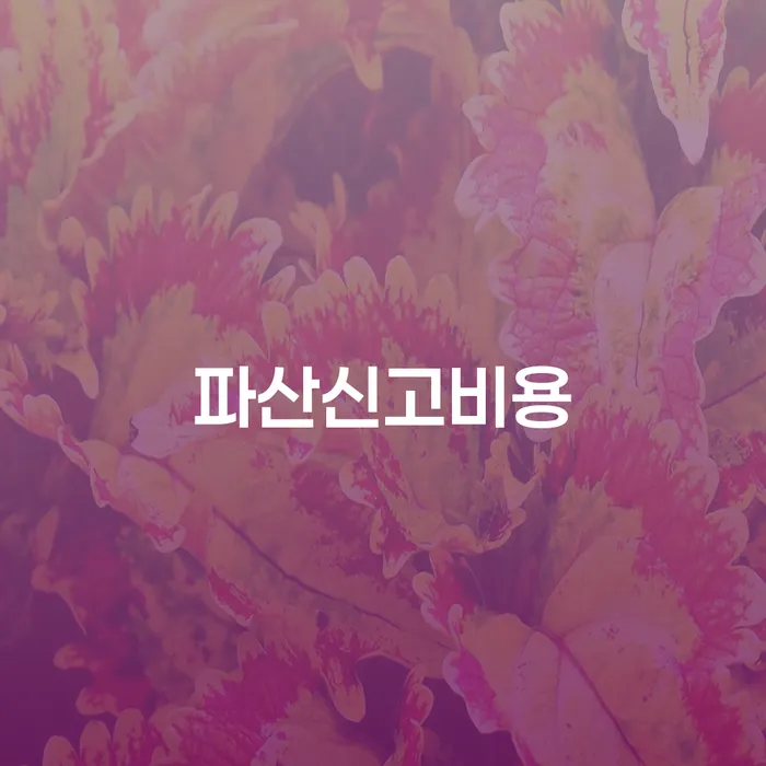 개인회생면책대출 개인회생으로 해결 확인하자