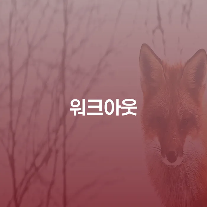 개인회생절차 대출 연체 개인회생 해결 할 수 있을까?