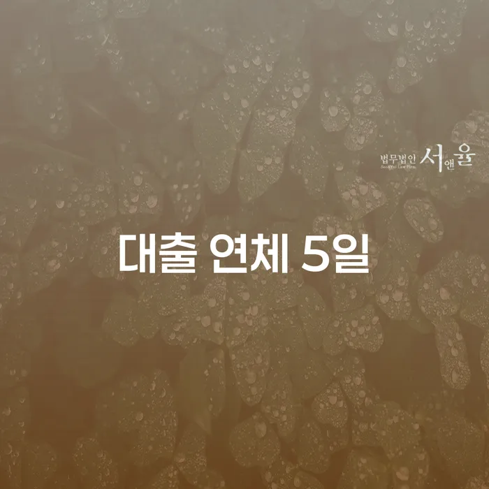 개인회생 수임료 저렴하고 추심 대응법 있는지확인