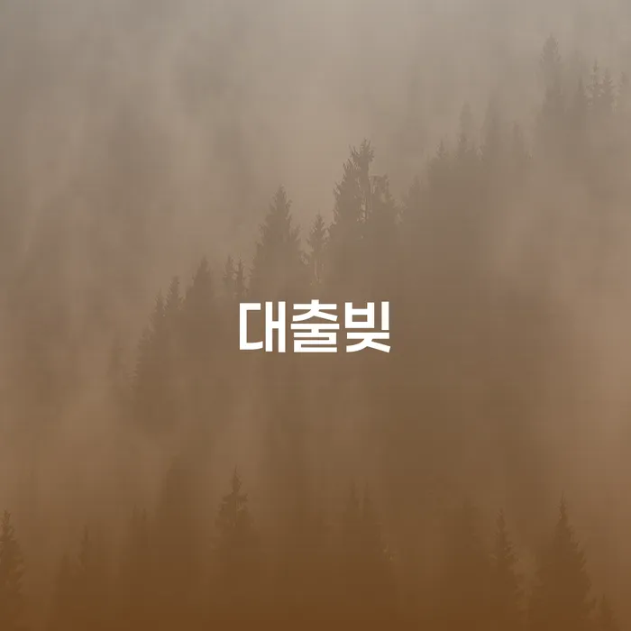 개인회생비용분납 빚독촉 최선의 선택