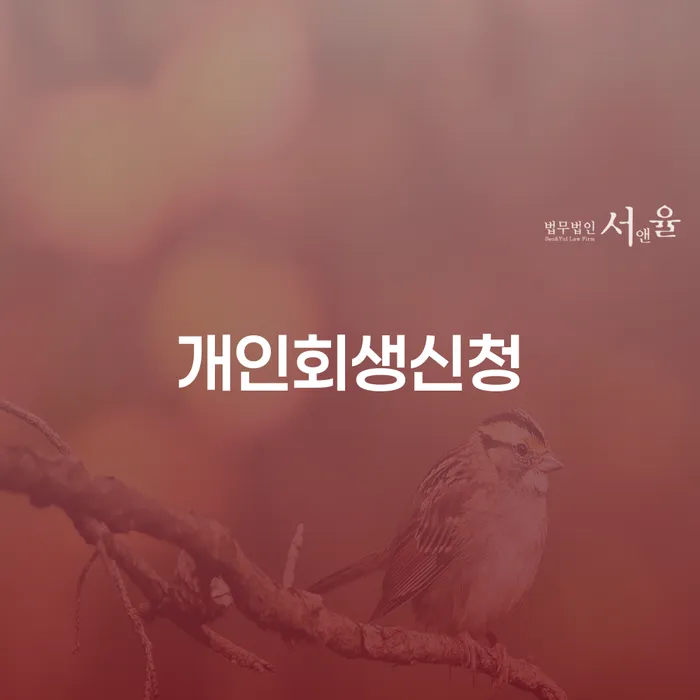 제주시 개인회생 개인회생 문제해결방법 체크리스트