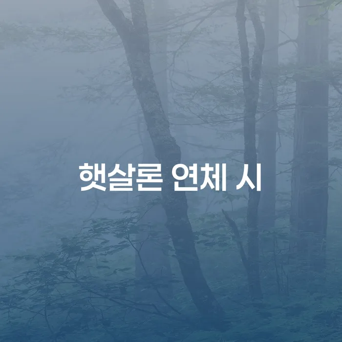 청송군 채무변제 대출 받은 돈채무조정 정해지는