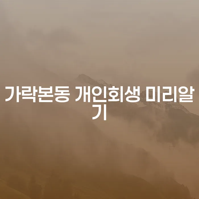 가락본동 개인회생 미리알기