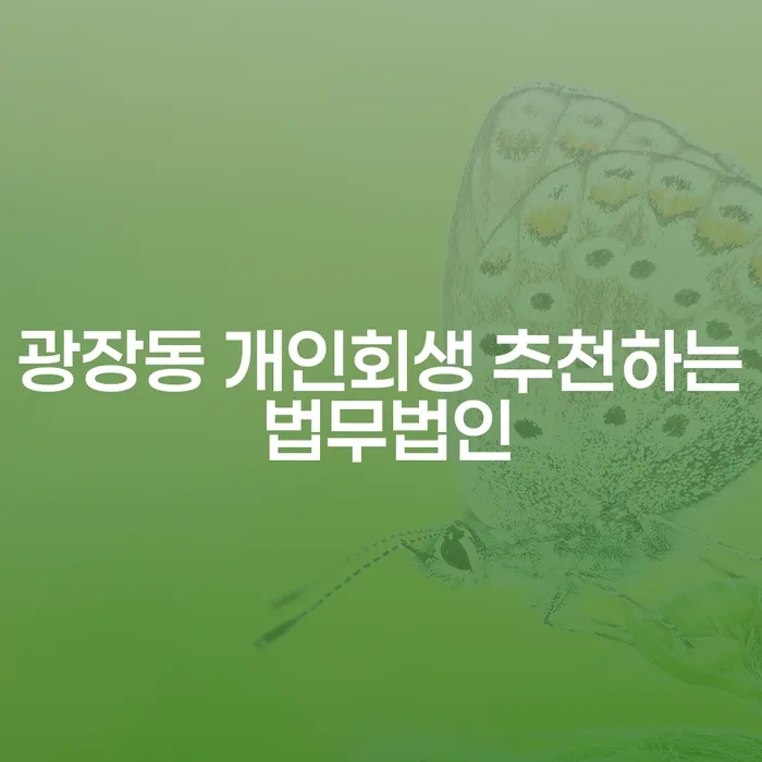 광장동 개인회생 추천하는 법무법인
