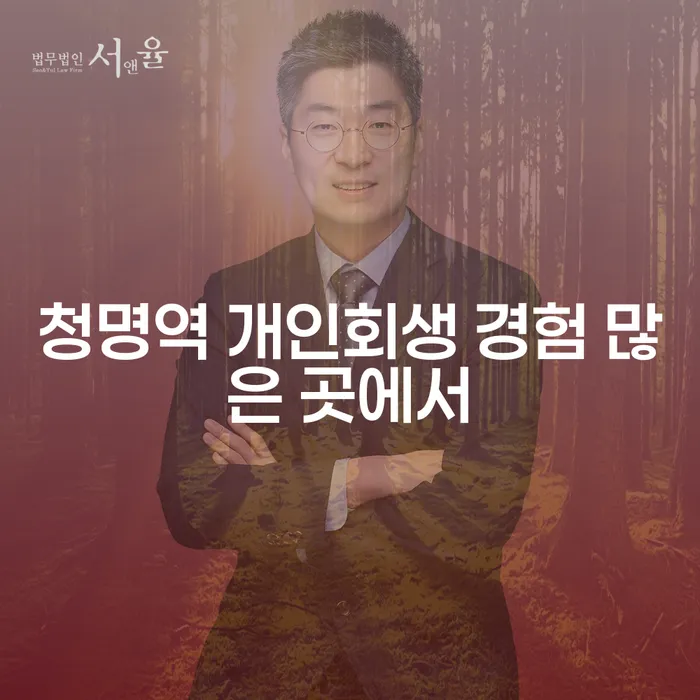 청명역 개인회생 경험 많은 곳에서