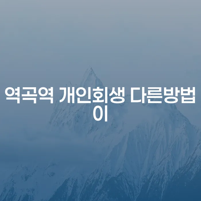 역곡역 개인회생 다른방법이