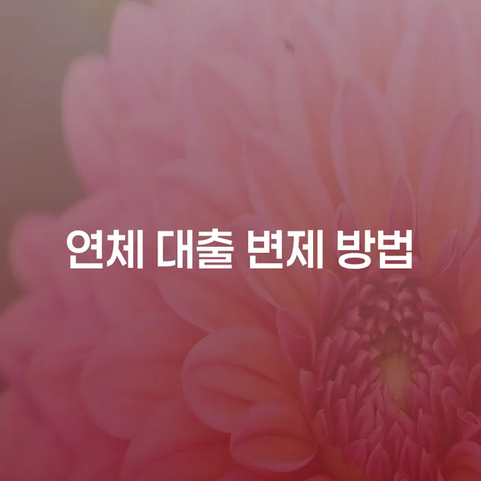 연체 대출 변제 방법: 어떻게 해결할 수 있을까요?