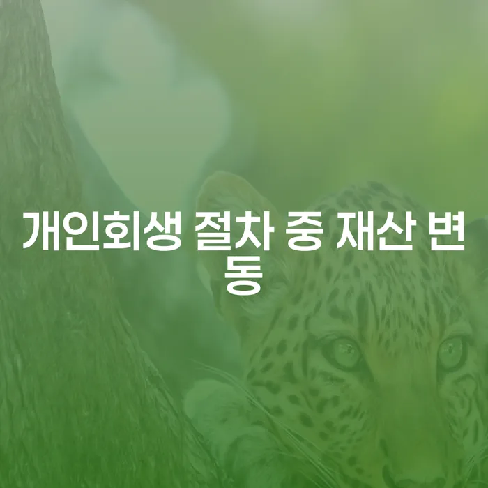 개인회생 절차 중 재산 변동, 어떻게 대처해야 할까요?