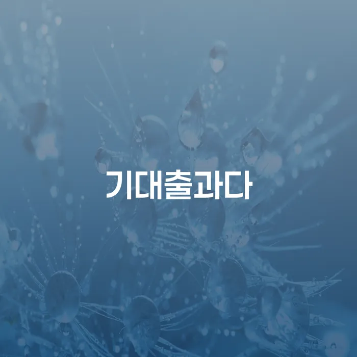 기대출과다 상태에서 벗어나는 방법은 무엇인가요?
