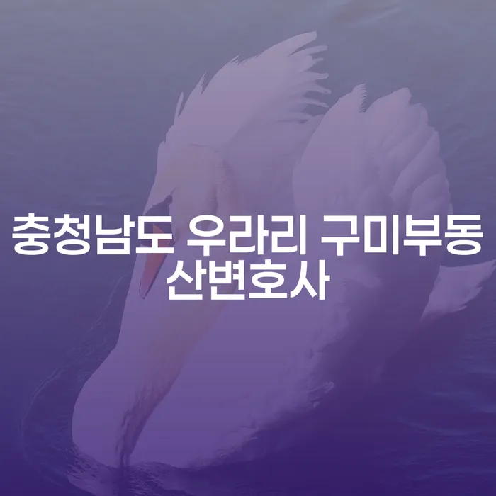 충청남도 우라리 구미부동산변호사가 빚갚기에 도움을 줄 수 있을까요?